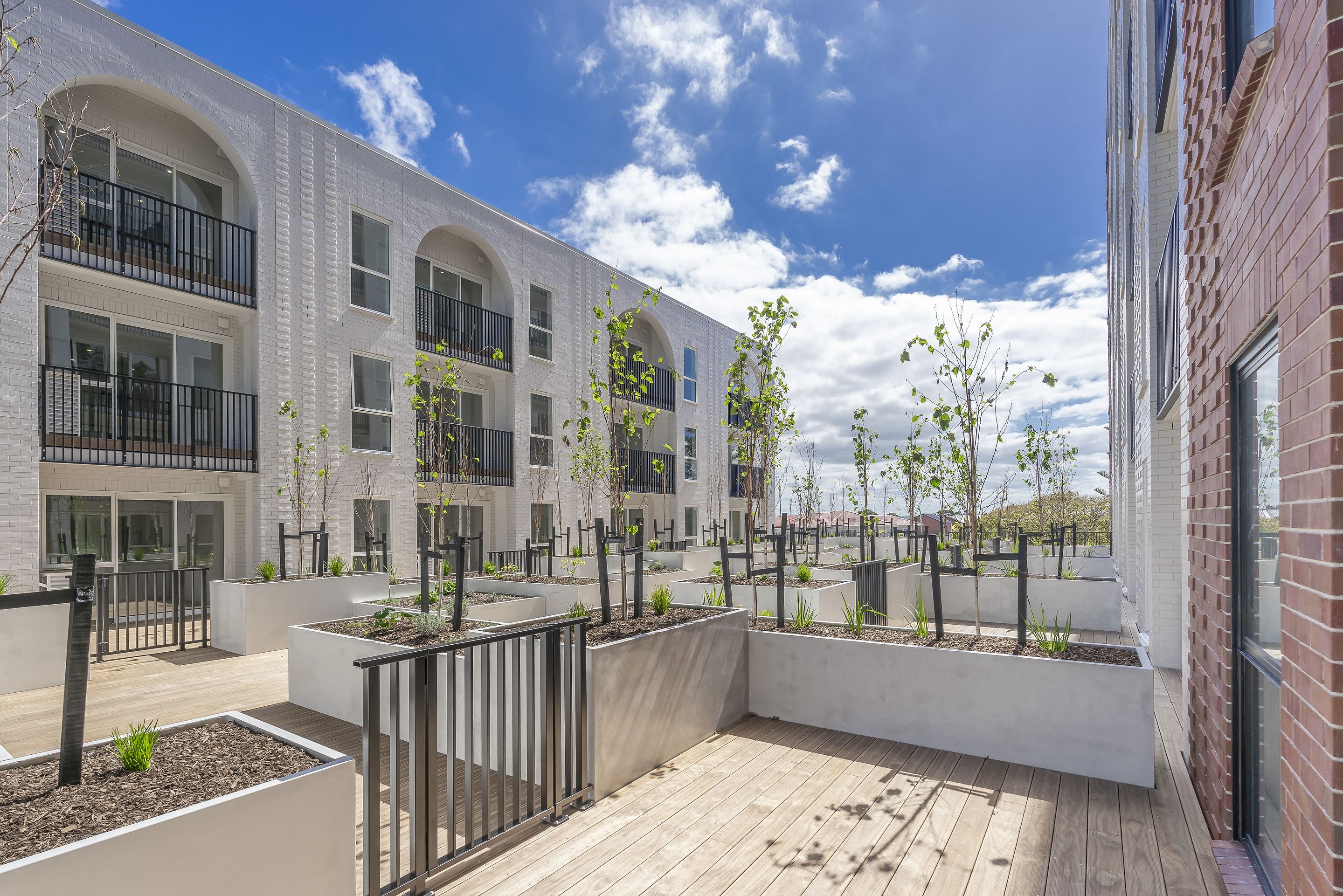Aroha by Ockham Residential New Apartments in Avondale