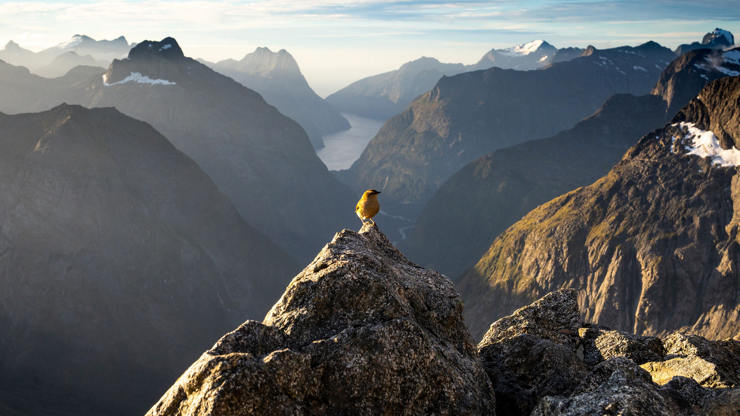Taranaki lensman captures NZ’s most prestigious photography award
