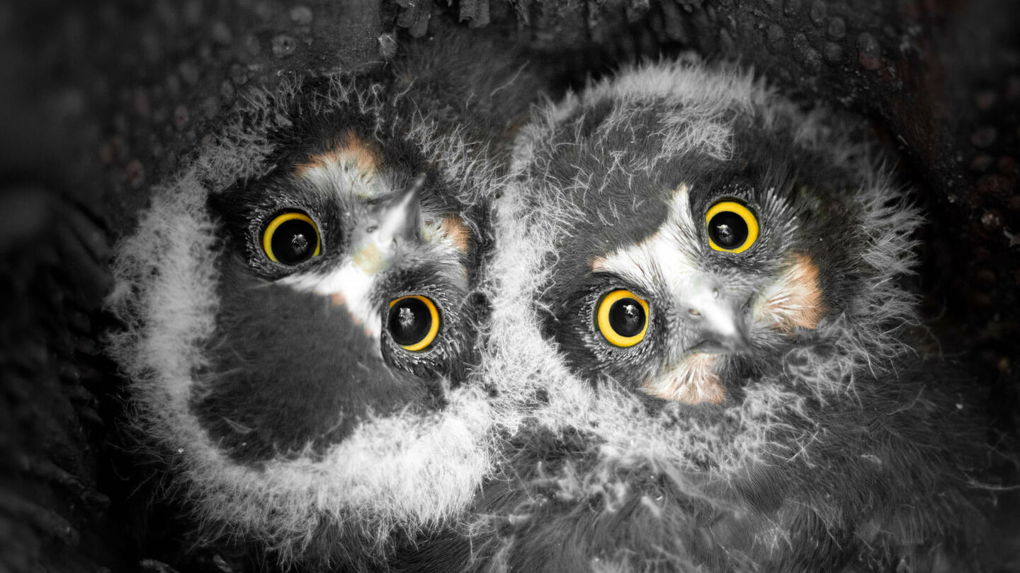 Nelson snapper scoops NZ’s most coveted photography award