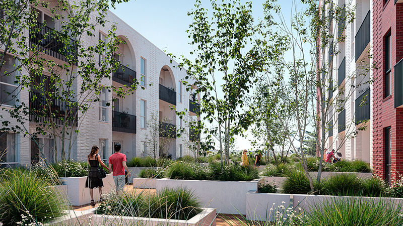 Aroha Hits 50 – Avondale development Ockham’s fast-selling ever