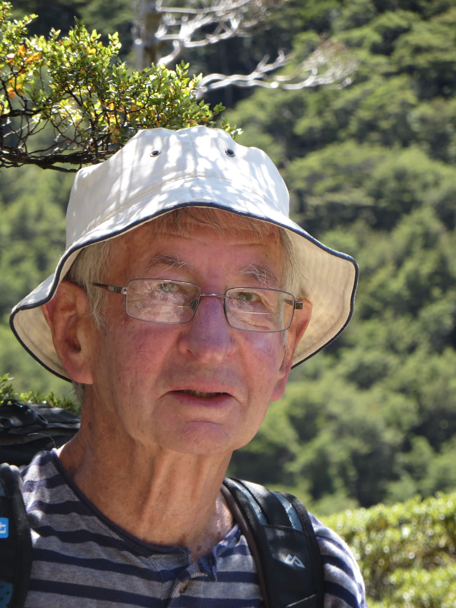 George Gibbs